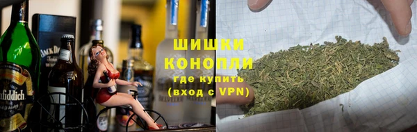 прущие крисы Бородино