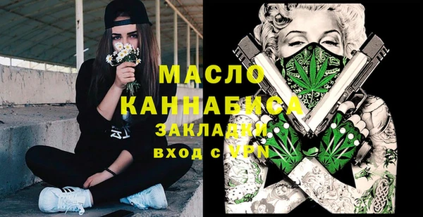 мет Няндома