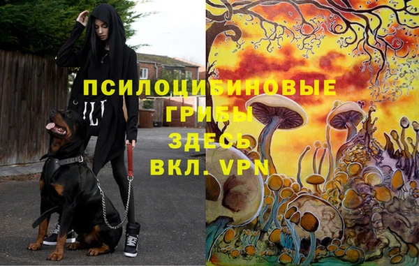 твердый Балабаново