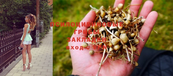 твердый Балабаново