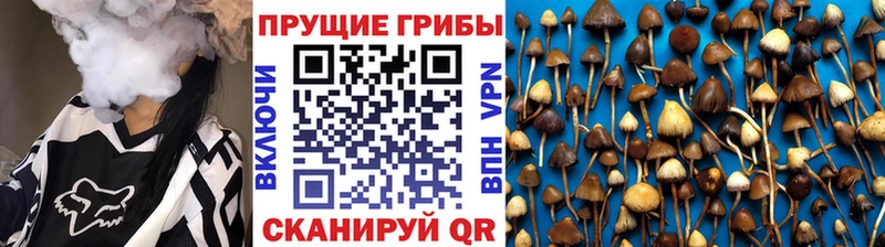 как найти наркотики  ОМГ ОМГ зеркало  Псилоцибиновые грибы прущие грибы  Сольцы 